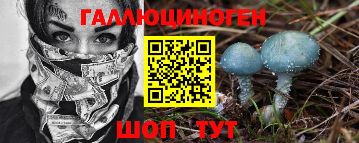 Печора  Псилоцибиновые грибы мицелий  Вход с VPN 